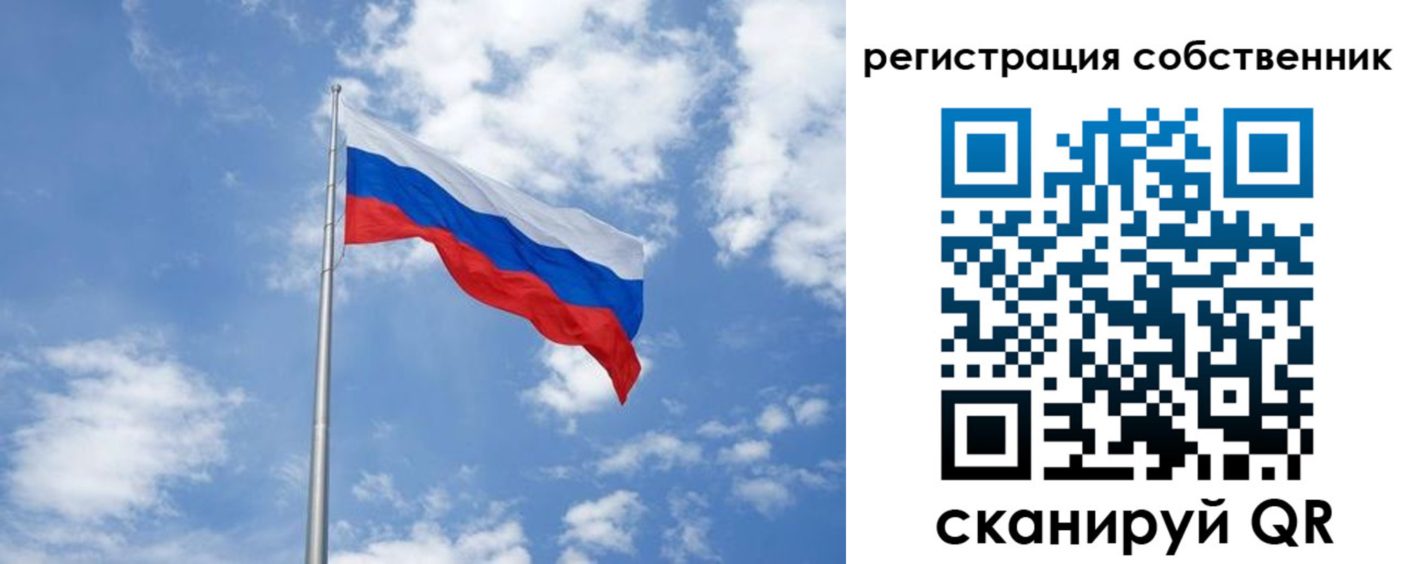 прописка для школы в Мончегорске