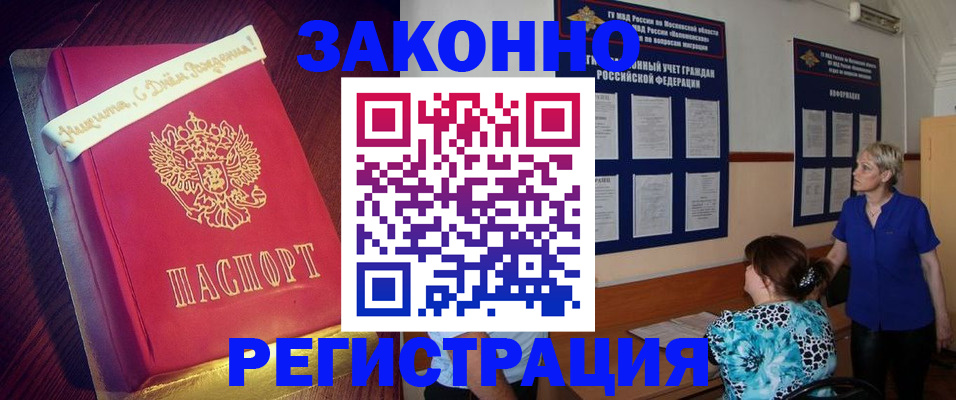 прописка поиск в Мончегорске